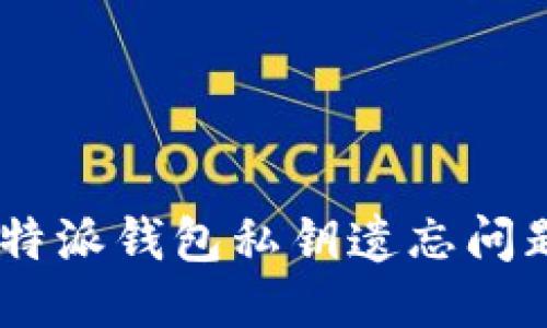 如何应对B特派钱包私钥遗忘问题：全面指南