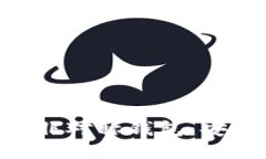 深入探索区块链非对称钱包：安全性、功能与应