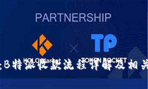 深入解析：B特派收款流程详解及相关注意事项