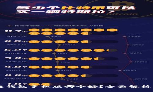 区块链钱包手机版哪个好？全面解析与推荐