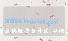 全面解析区块链平台开发：从概念到实践