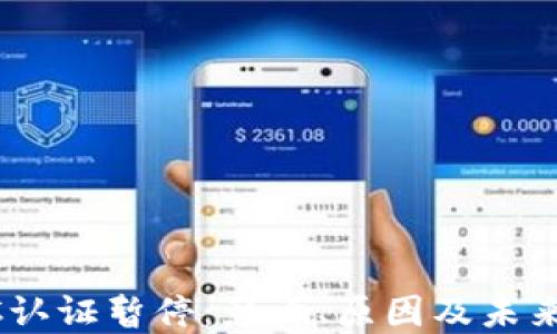 
BitP KYC认证暂停：影响、原因及未来发展展望