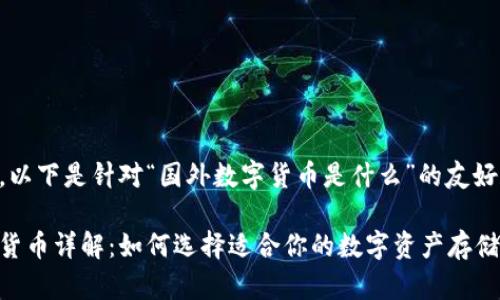 当然可以，以下是针对“国外数字货币是什么”的友好和关键词:

国外数字货币详解：如何选择适合你的数字资产存储方案
