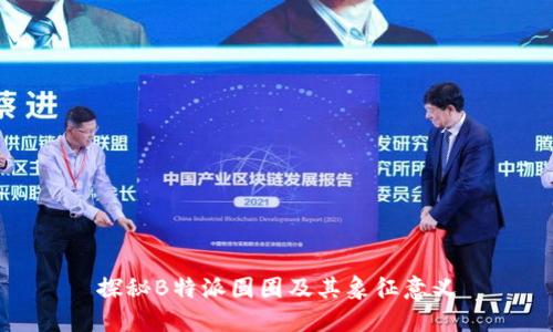 探秘B特派圆圈及其象征意义